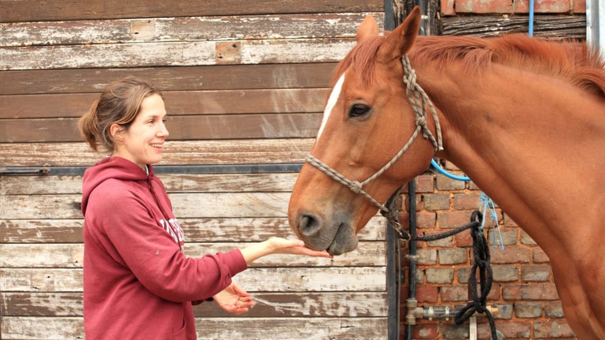 How Equine Therapy Can Help Heal Sex Addiction - Promises Behavioral Health