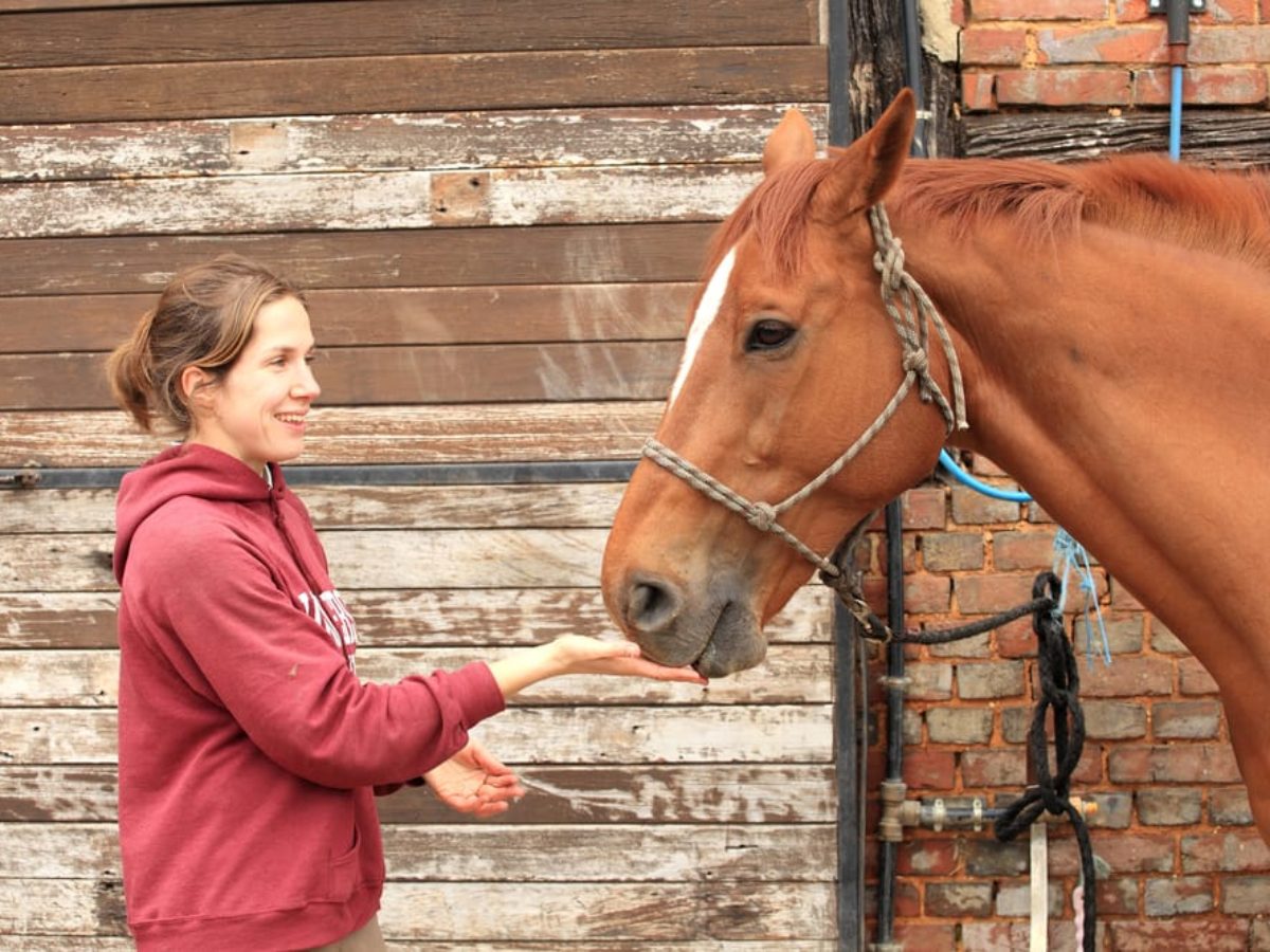 How Equine Therapy Can Help Heal Sex Addiction - Promises Behavioral Health