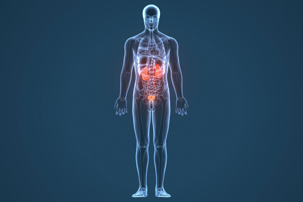 Graphic illustrating heroin effects on the body